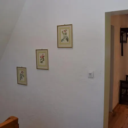 Thingslinde Apartment *
